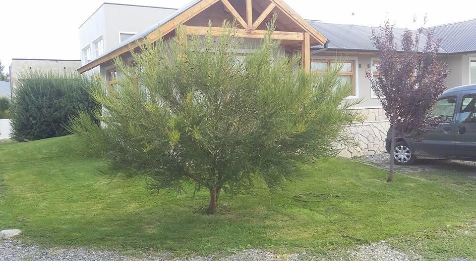 Hosteria Y Cabanas Land Park - Spa & Lodge Junin de los Andes Exterior photo